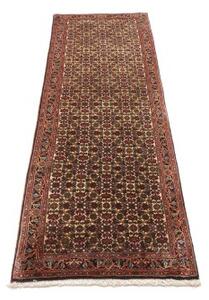 Tappeto Bidjar Floreale Beige Rosso Mattone Corsia 65x211 Cm