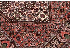 Tappeto Bidjar Stilizzato Mattone Avorio Corsia 63x195 Cm