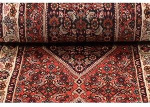 Tappeto Bidjar Stilizzato Rosso Mattone Blu Scuro Corsia 64x220 Cm