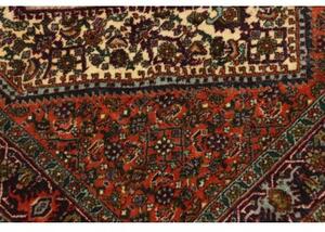 Tappeto Bidjar Stilizzato Avorio Mattone Corsia 76x211 Cm