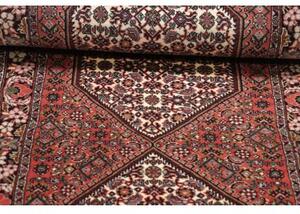 Tappeto Bidjar Stilizzato Mattone Avorio Corsia 63x195 Cm