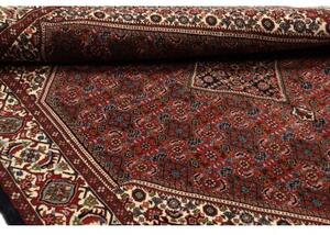 Tappeto Bidjar Stilizzato Rosso Mattone Avorio 144x202 Cm