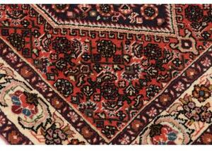 Tappeto Bidjar Stilizzato Rosso Mattone Blu Scuro Corsia 64x220 Cm
