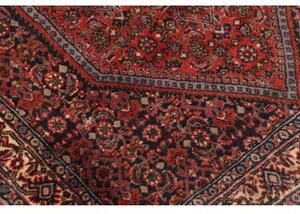 Tappeto Bidjar Stilizzato Rosso Mattone Blu Scuro 78x102 Cm