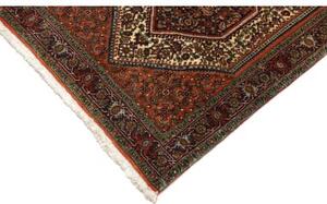 Tappeto Bidjar Stilizzato Avorio Mattone Corsia 76x211 Cm