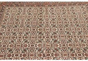 Tappeto Bidjar Stilizzato Avorio Ruggine 169x226 Cm