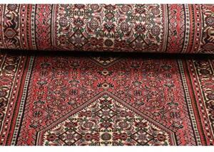Tappeto Bidjar Stilizzato Rosa Antico Avorio Corsia 77x267 Cm