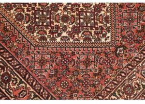 Tappeto Bidjar Stilizzato Rosso Antico Avorio Corsia 74x221 Cm