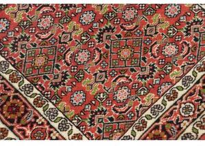 Tappeto Zandjan Stilizzato Rosso Mattone Beige Corsia 64x245 Cm