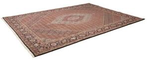 Tappeto Bidjar Stilizzato Ruggine Blu Scuro 255x347 Cm