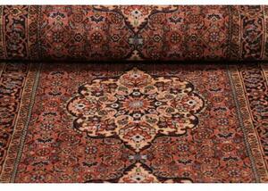 Tappeto Bidjar Stilizzato Ruggine Beige Corsia 77x325 Cm