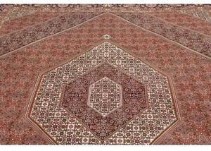 Tappeto Bidjar Stilizzato Ruggine Blu Scuro 255x347 Cm