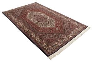Tappeto Bidjar Stilizzato Rosso Scuro Avorio 140x228 Cm
