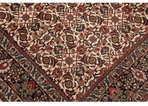 Tappeto Bidjar Con Seta Floreale Avorio Rosso Ruggine 178x247 Cm
