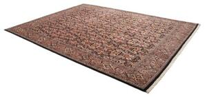 Tappeto Bidjar Stilizzato Marrone Scuro Bordeaux 257x342 Cm