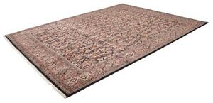 Tappeto Bidjar Stilizzato Marrone Scuro Bordeaux 257x342 Cm