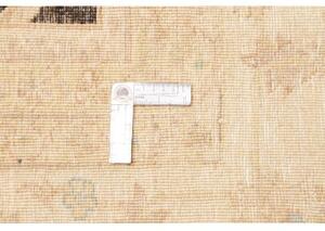 Tappeto Zigler Fine Stilizzato Marrone Scuro Beige 302x409 Cm