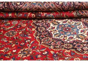 Tappeto Ardakan Medaglione Floreale Rosso Blu Scuro 243x348 Cm
