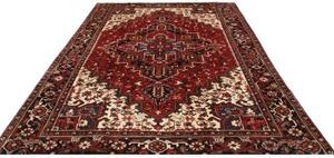 Tappeto Gorawan Stilizzato Rosso Avorio 227x312 Cm
