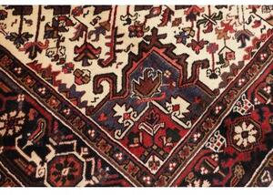 Tappeto Gorawan Stilizzato Rosso Avorio 227x312 Cm