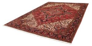 Tappeto Gorawan Stilizzato Rosso Ruggine Beige 262x327 Cm