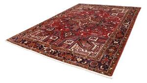 Tappeto Gorawan Stilizzato Rosso Blu Scuro 260x334 Cm