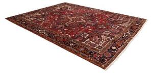 Tappeto Gorawan Stilizzato Rosso Blu Scuro 260x334 Cm