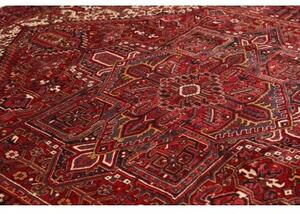 Tappeto Gorawan Stilizzato Rosso Scuro Avorio 265x338 Cm
