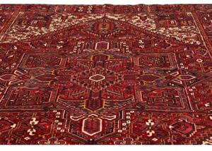 Tappeto Gorawan Stilizzato Rosso Scuro Avorio 265x338 Cm