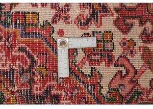 Tappeto Gorawan Stilizzato Rosso Avorio 244x308 Cm