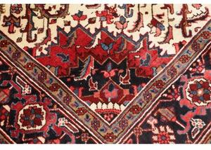 Tappeto Gorawan Stilizzato Rosso Avorio 208x303 Cm
