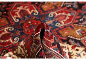 Tappeto Gorawan Stilizzato Rosso Avorio 208x303 Cm