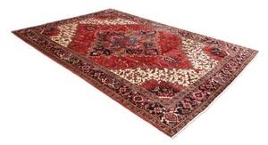 Tappeto Gorawan Stilizzato Rosso Avorio 208x303 Cm