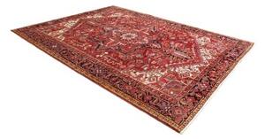 Tappeto Gorawan Stilizzato Rosso Nero 250x328 Cm