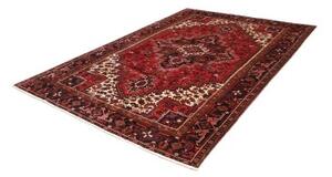Tappeto Gorawan Stilizzato Rosso Scuro Nero 204x293 Cm