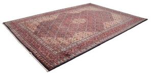 Tappeto Sarough Medaglione Floreale Rosso Avorio 247x350 Cm