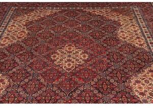 Tappeto Sarough Medaglione Floreale Rosso Avorio 247x350 Cm