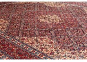 Tappeto Sarough Medaglione Floreale Rosso Avorio 247x350 Cm