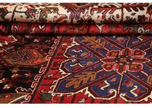 Tappeto Gorawan Stilizzato Rosso Avorio 250x340 Cm