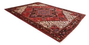Tappeto Gorawan Stilizzato Rosso Avorio 250x340 Cm