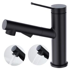 Rubinetto per lavabo estraibile - Monocomando - Nero - Acciaio inossidabile SUS304 - Doccetta a 2 getti