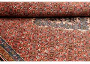 Tappeto Ardabil Stilizzato Rosso Mattone Blu Scuro 200x290 Cm