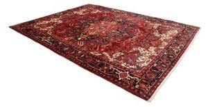 Tappeto Gorawan Stilizzato Rosso Nero 257x340 Cm