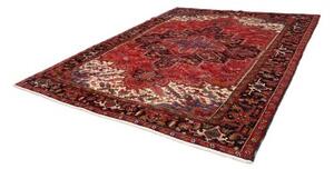 Tappeto Gorawan Stilizzato Rosso Nero 278x340 Cm