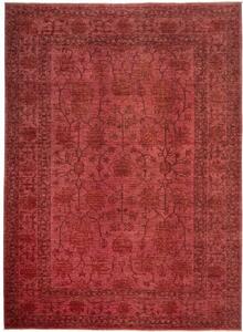 Tappeto Zigler Fine Floreale Rosso Scuro Marrone 249x339 Cm