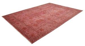 Tappeto Zigler Fine Floreale Rosso Scuro Marrone 249x339 Cm