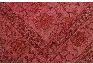 Tappeto Zigler Fine Floreale Rosso Scuro Marrone 249x339 Cm