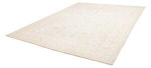 Tappeto Zigler Fine Stilizzato Grigio Chiaro Avorio 248x297 Cm