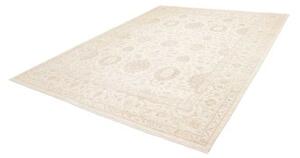 Tappeto Zigler Fine Floreale Avorio Beige 245x305 Cm