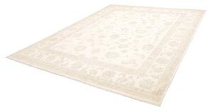 Tappeto Zigler Fine Floreale Avorio Beige 247x302 Cm
